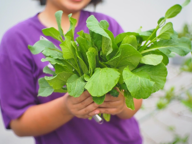 女性の手に野菜の画像