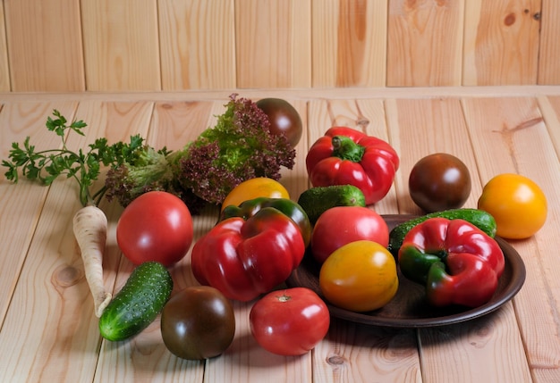 Vegetable layout with tomatoes