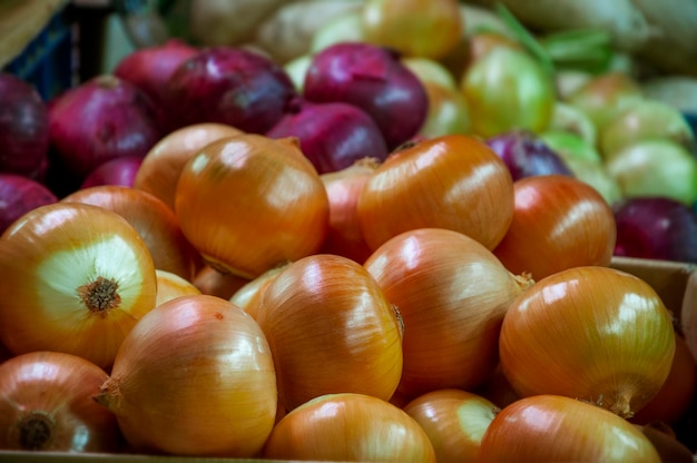 Vegetable market vegetable stand onions vegetables closeup