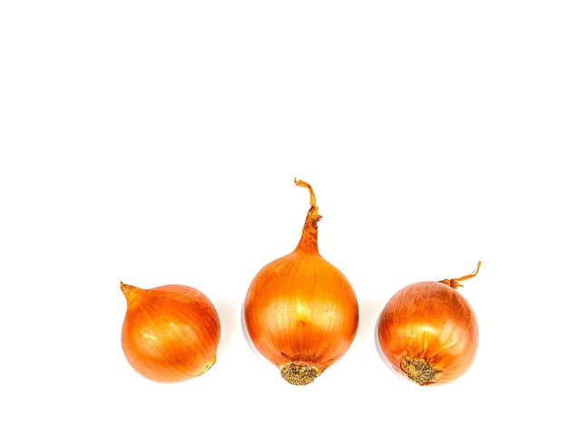 Vegetable onion golden color on a white background