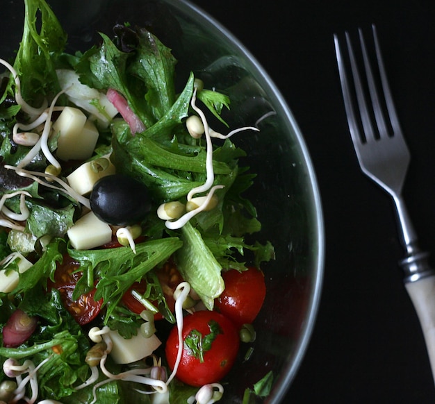 Vegetable salad of lettuce tomatoes cheese olives sprouted chickpeas onions Salad in a plate on a dark table