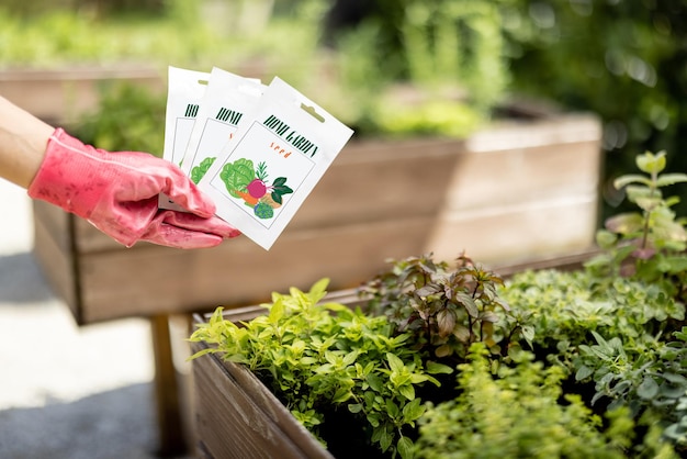 Vegetable seeds in paper packet