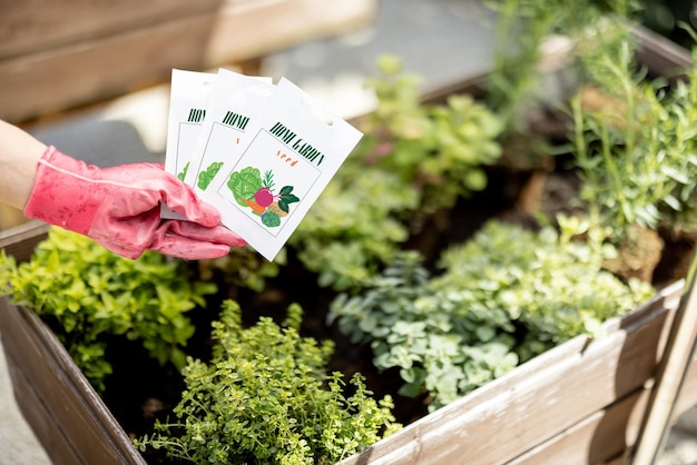 Vegetable seeds in paper packet