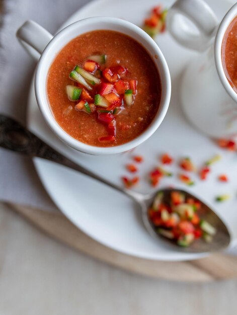 Vegetable soup for summer with cold and raw vegetables traditional gazpacho andalusia