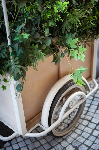 Vegetable transport in the city