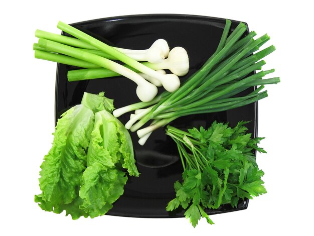 Photo vegetable-young onion, garlic, parsley and letucce. isolated.