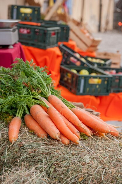 Photo vegetable