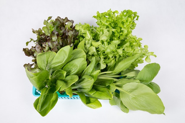 Vegetables on basket