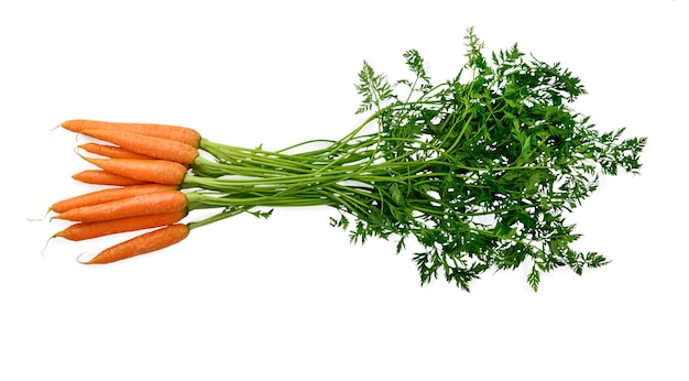 Verdure, carote isolati su sfondo bianco. foto di alta qualità