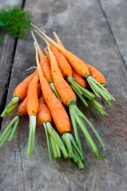 Vegetables from the garden