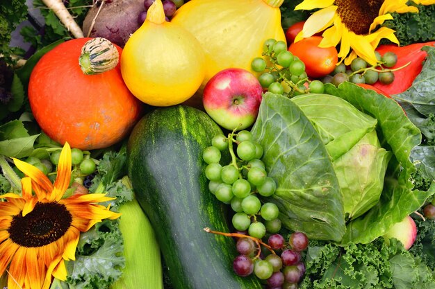 Vegetables and fruits from the garden Photo