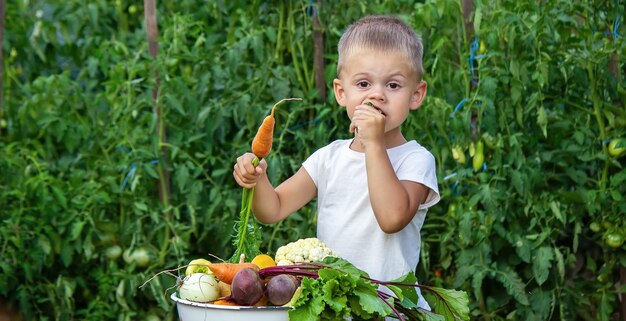 農場の子供たちの手にある野菜。セレクティブフォーカス。自然