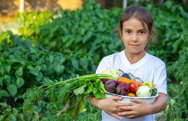 農場の子供たちの手にある野菜。セレクティブフォーカス。自然