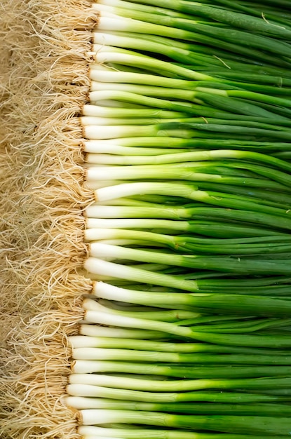 Фото Рынок овощей свежий экологически чистый зеленый лук
