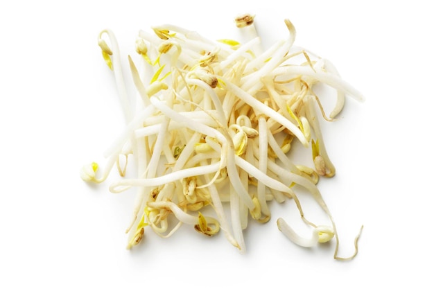 vegetables mung bean sprouts isolated on white background
