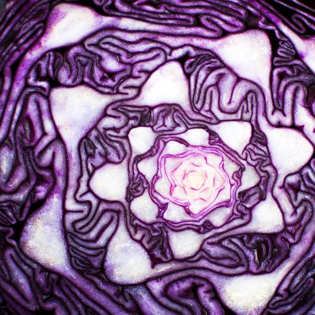 Photo vegetables and organic fractal cabbage