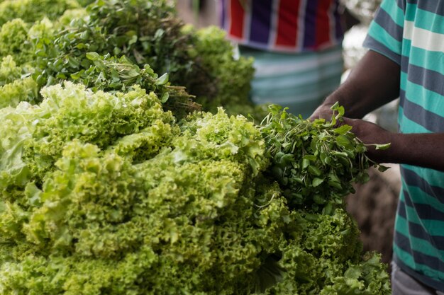 Vegetables for sale at the popular fair.