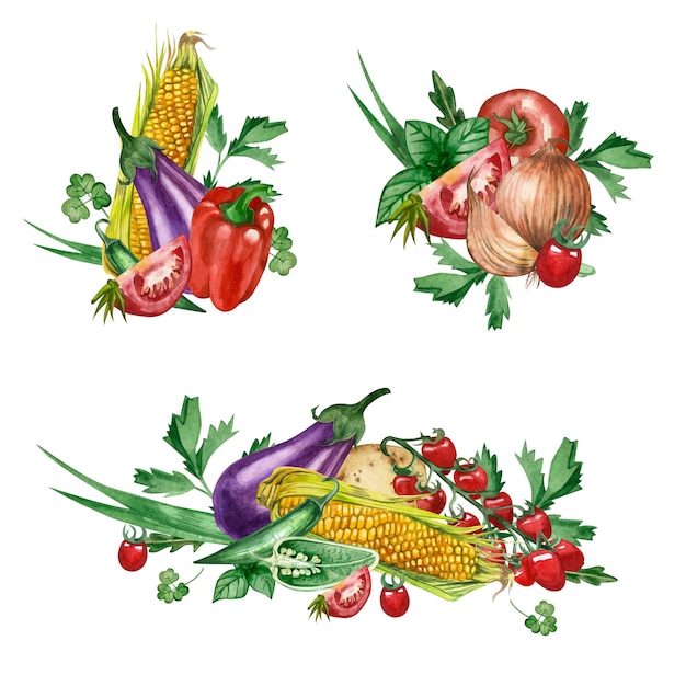 Овощи Набор из 3 композиций овощей, нарисованных акварелью на белом фоне