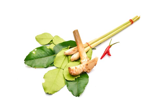 Photo vegetables on white background