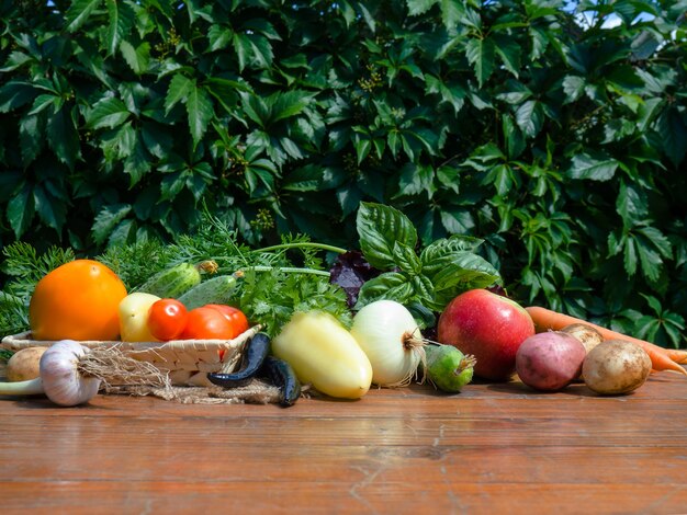 Vegetables on a wooden table. Bio Healthy food, herbs and vegetables from farm plantations.