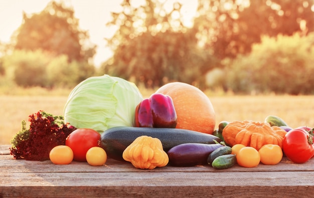 Vegetables on wooden table outdoor