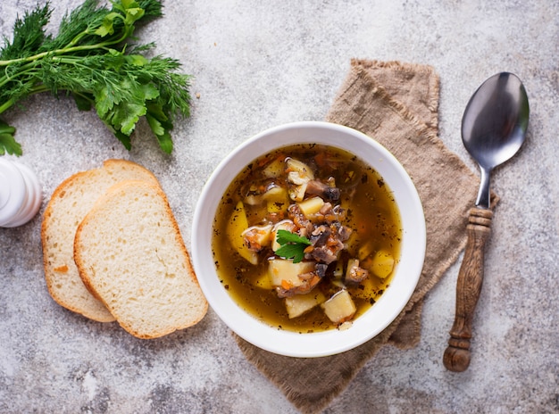 Vegetarische soep met champignon en groente