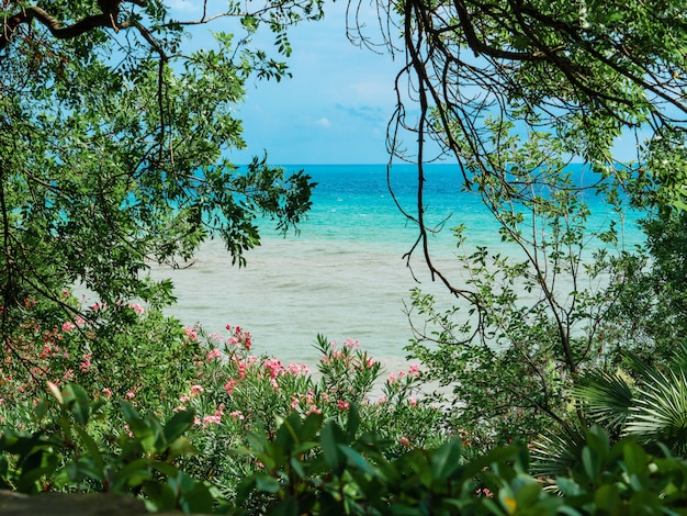 Vegetatie dichtbij strand