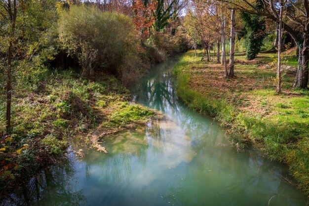 Vegetatietoerisme bestemming boslandschap zomer ecotoerisme prachtig nationaal park