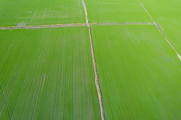 Veld achtergrond bovenaanzicht landschap natuur