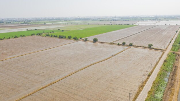 Veld achtergrond bovenaanzicht landschap natuur