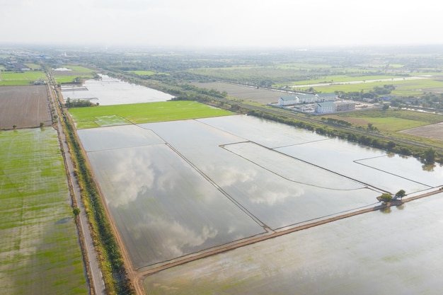 Veld achtergrond bovenaanzicht landschap natuur