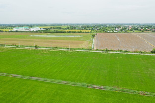 Veld achtergrond bovenaanzicht landschap natuur