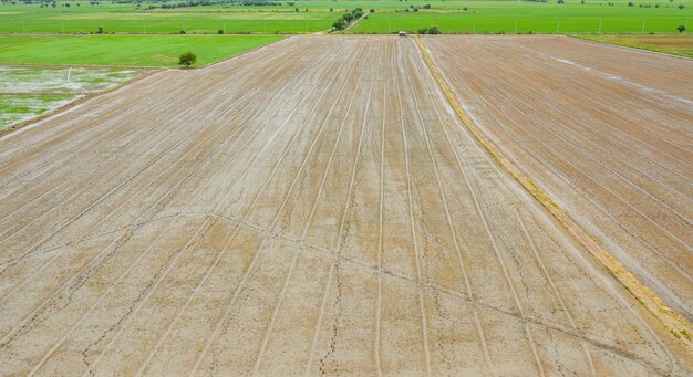 Veld achtergrond bovenaanzicht landschap natuur