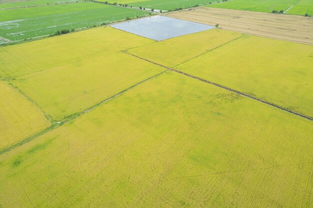 Veld achtergrond bovenaanzicht landschap natuur