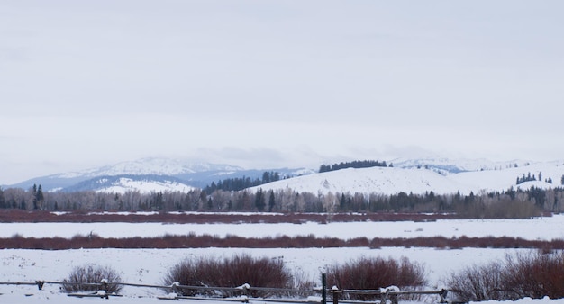 Veld bedekt met sneeuw in het Great Teton National Park.