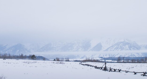 Veld bedekt met sneeuw in het Great Teton National Park.