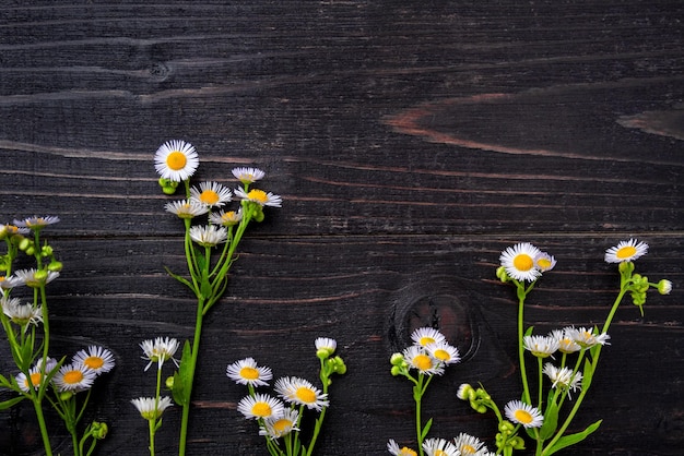Foto veld delicate bloemen op een donkere houten achtergrond leeg voor uw ontwerp