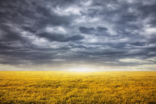 Veld en bewolkte hemelachtergrond