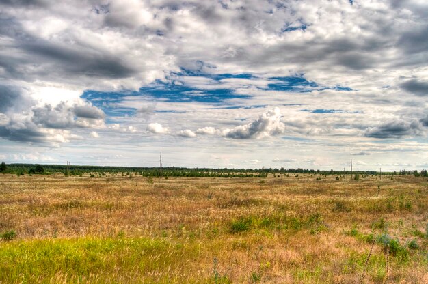 Foto veld en bos met wolken.