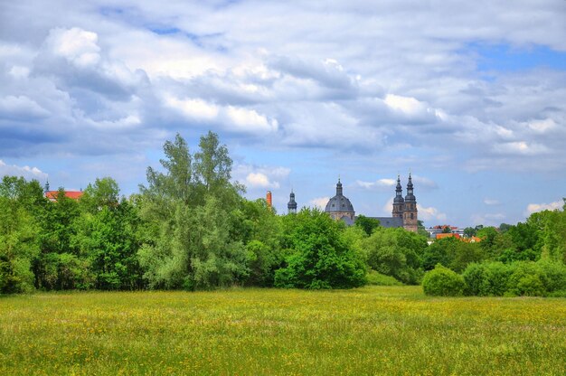 Veld in Aueweiher Park in Fulda Hessen Duitsland