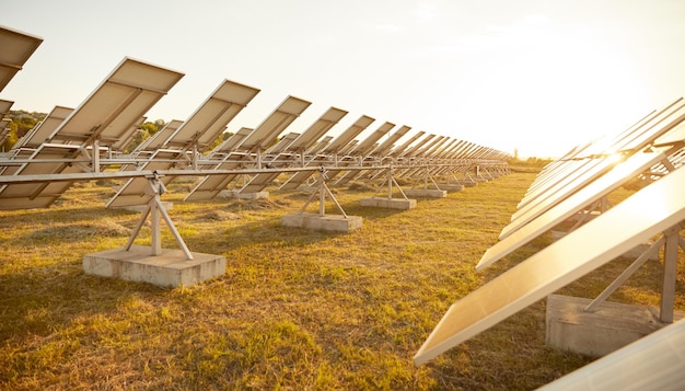 Veld met fotovoltaïsche panelen bij zonsondergang