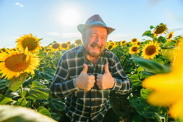 Veld met zonnebloemen en een schattige oudere boer die lacht en duimen laat zien