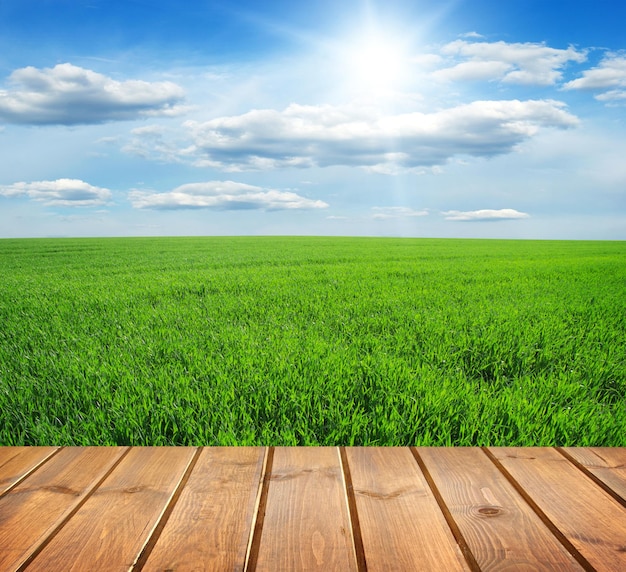 Veld onder de blauwe lucht Houten planken vloer