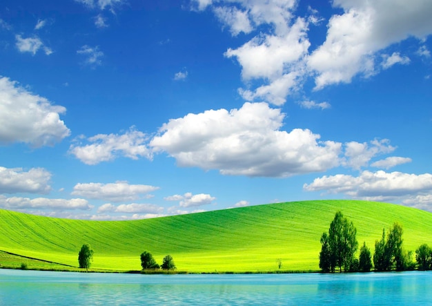 Veld op een achtergrond van de blauwe lucht