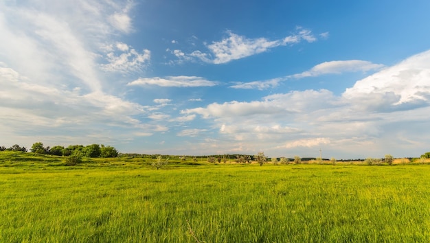 Veld op een achtergrond van de lucht