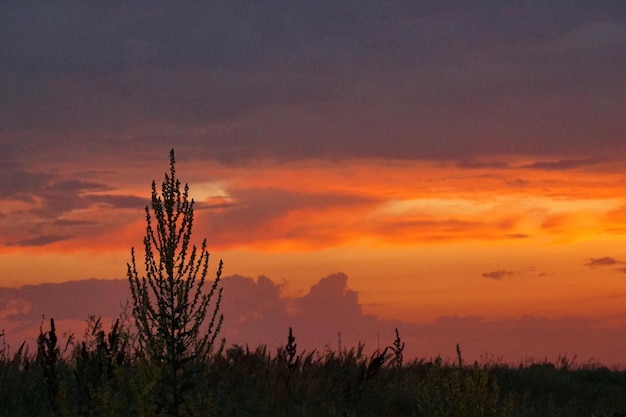 Veld tegen een dramatische hemel bij zonsondergang