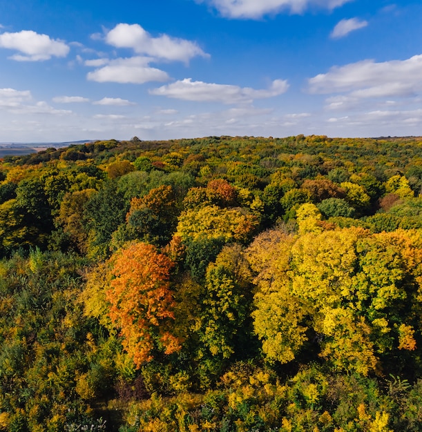 Veld van het de hommelplatteland van de herfst het lucht en bos