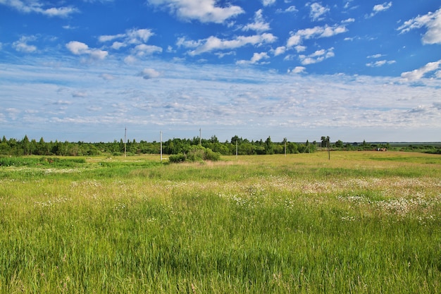 Velden en bos in Wit-Rusland land