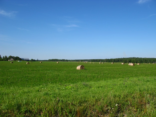 Velden en bossen van Estland