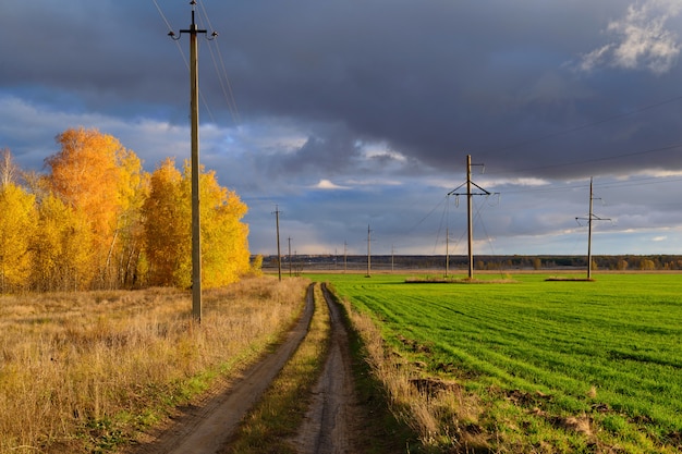 Velden met groene gewassen onder de felle zon